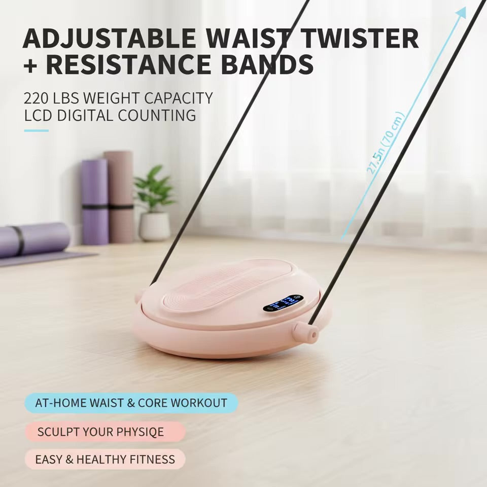 Smart Waist Twist Disc