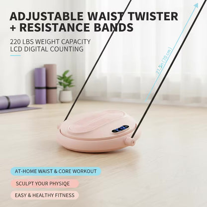 Smart Waist Twist Disc